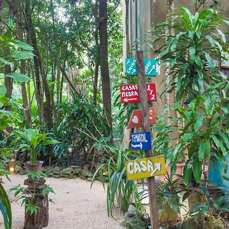 Guest House La Aldea Holistic Experience 坎昆 外观 照片