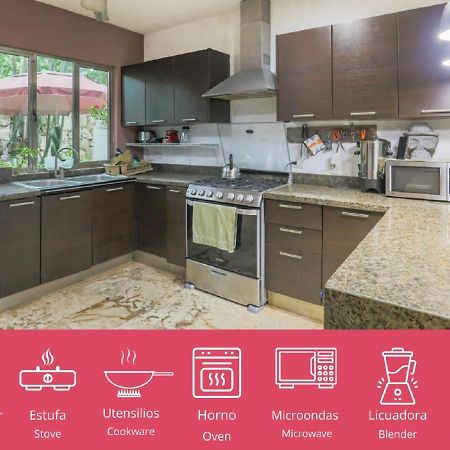Guest House La Aldea Holistic Experience 坎昆 外观 照片