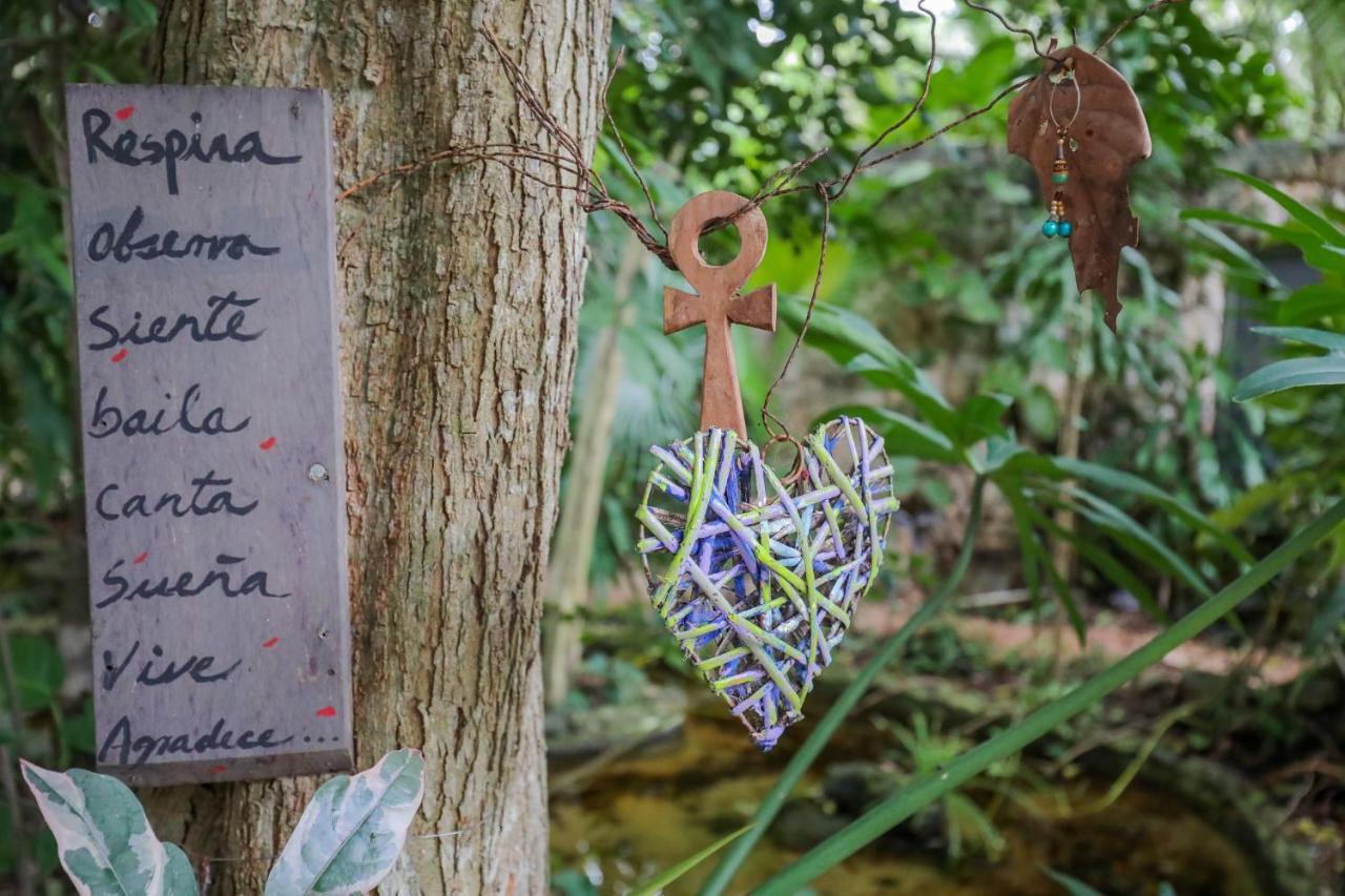 Guest House La Aldea Holistic Experience 坎昆 外观 照片