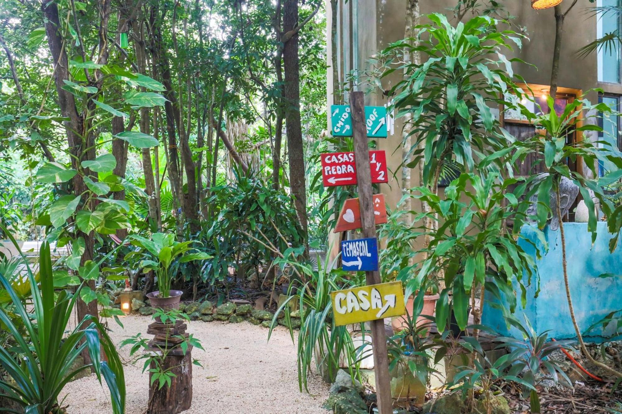 Guest House La Aldea Holistic Experience 坎昆 外观 照片