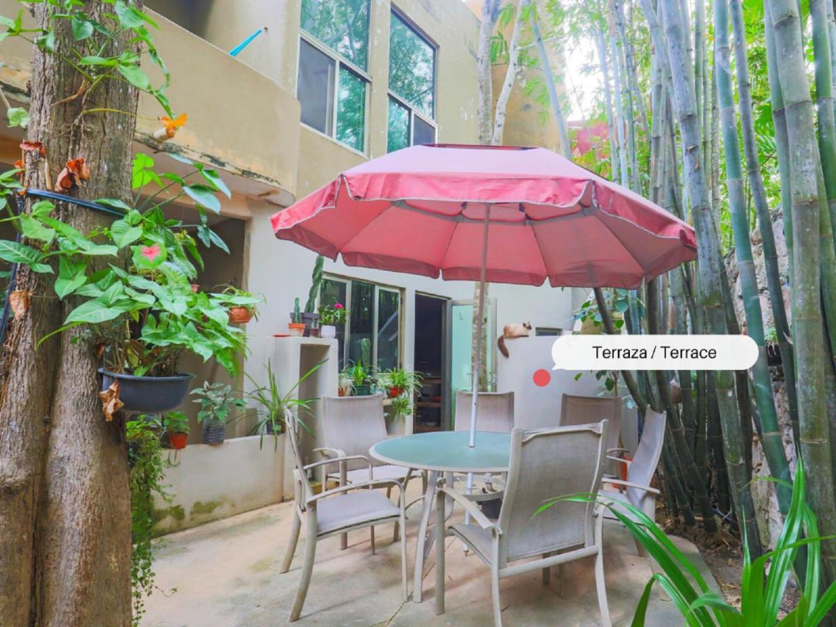 Guest House La Aldea Holistic Experience 坎昆 外观 照片