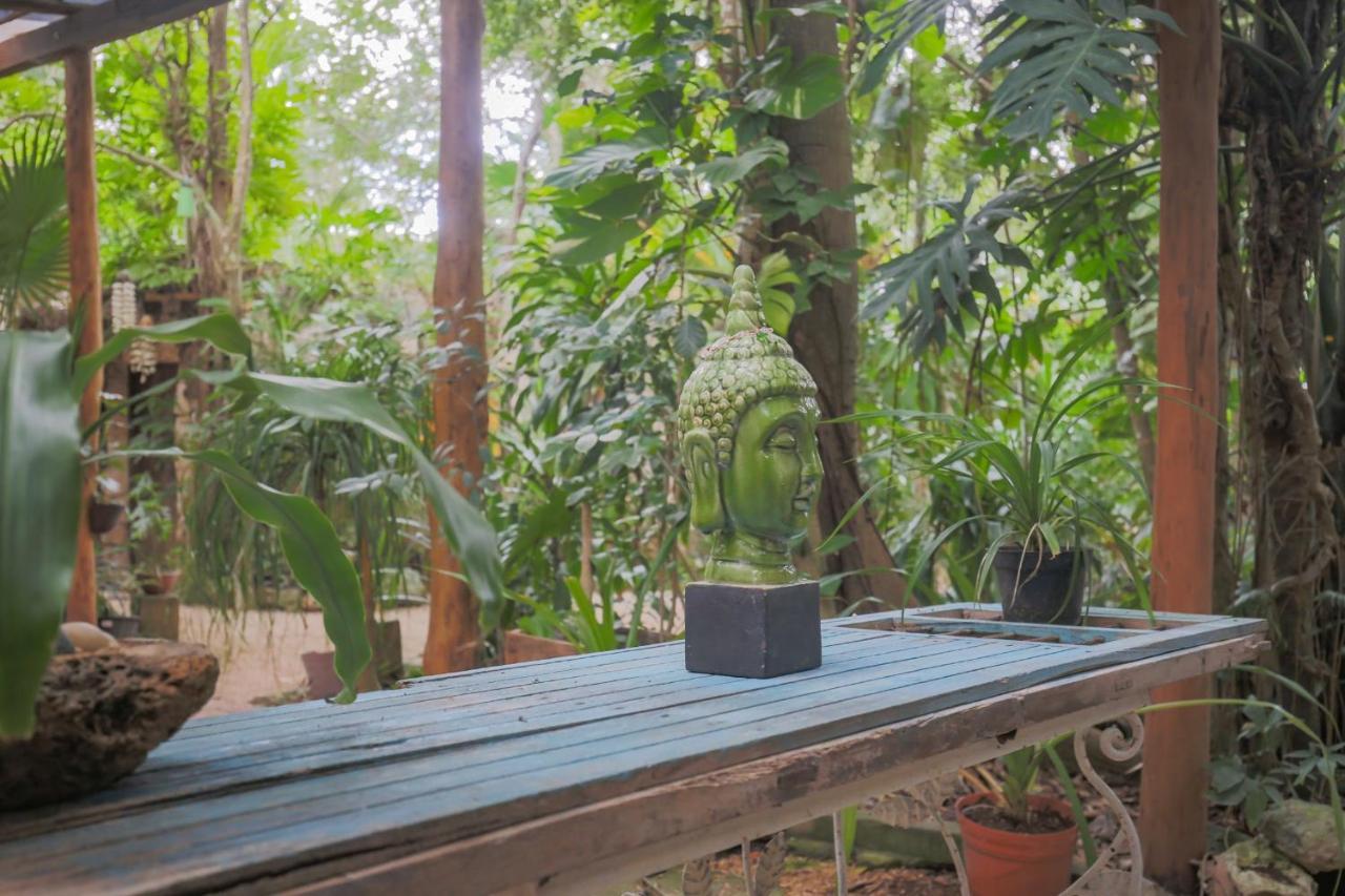 Guest House La Aldea Holistic Experience 坎昆 外观 照片