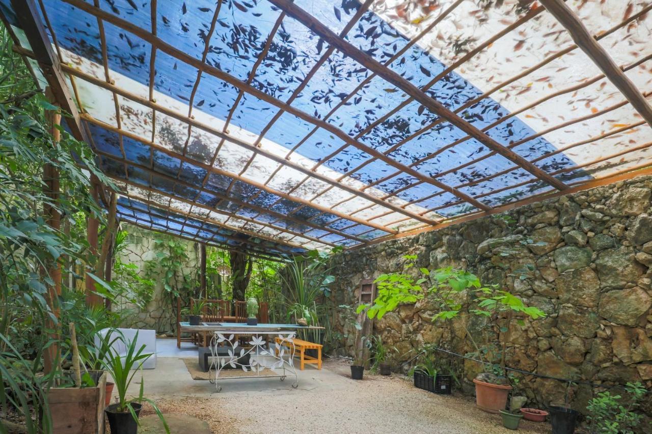 Guest House La Aldea Holistic Experience 坎昆 外观 照片