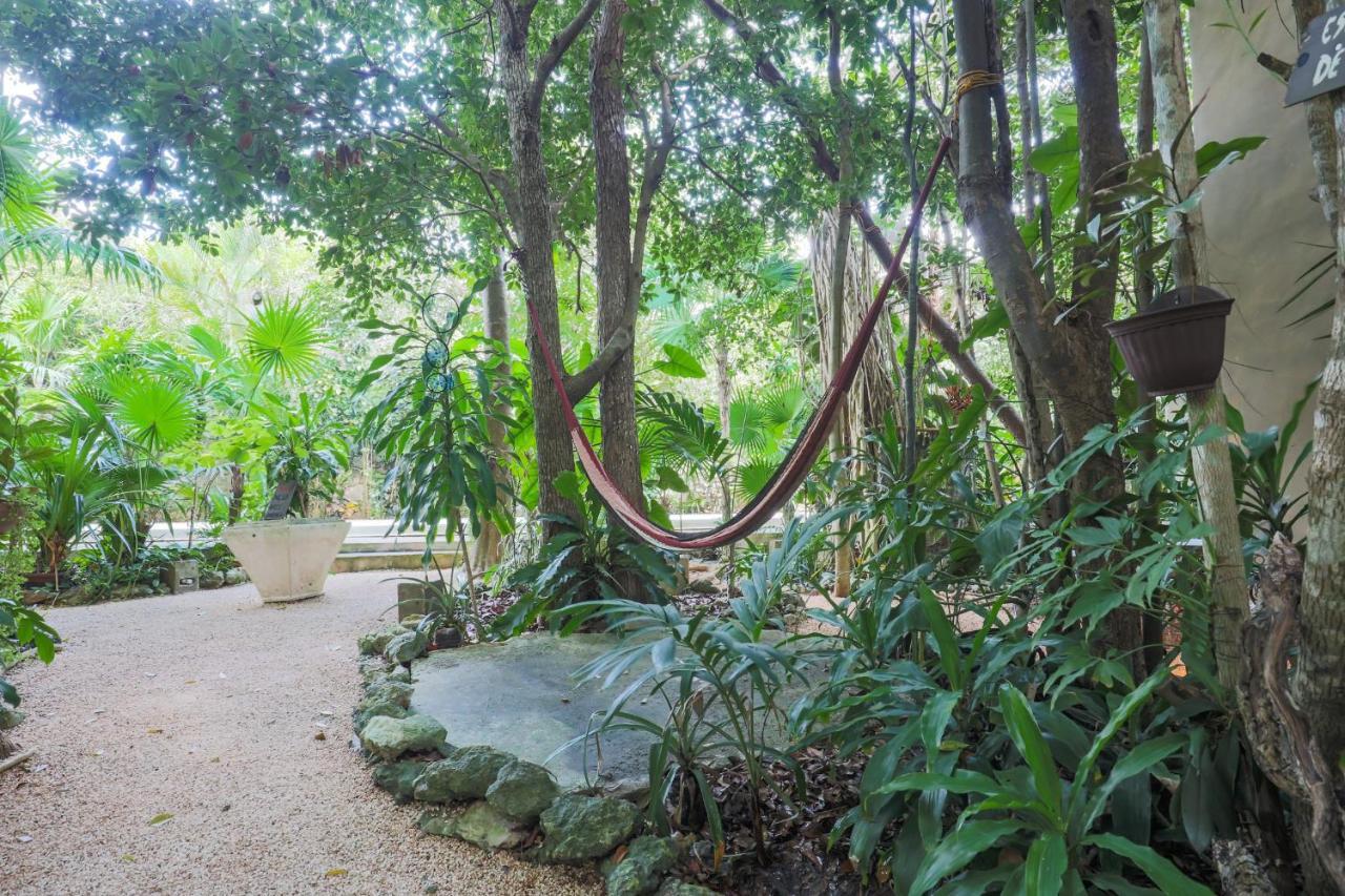 Guest House La Aldea Holistic Experience 坎昆 外观 照片