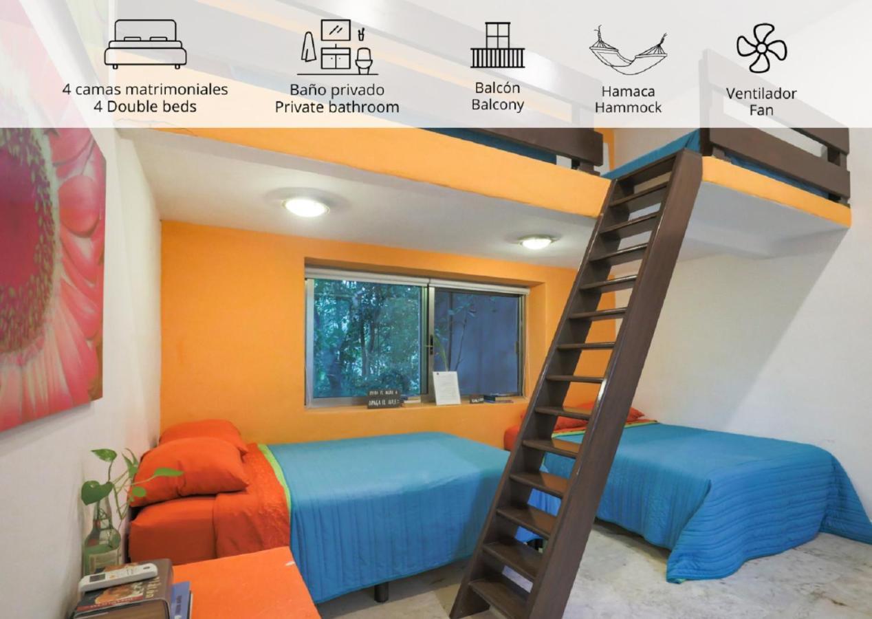Guest House La Aldea Holistic Experience 坎昆 外观 照片