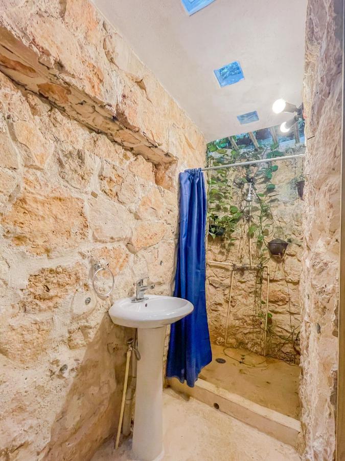 Guest House La Aldea Holistic Experience 坎昆 外观 照片