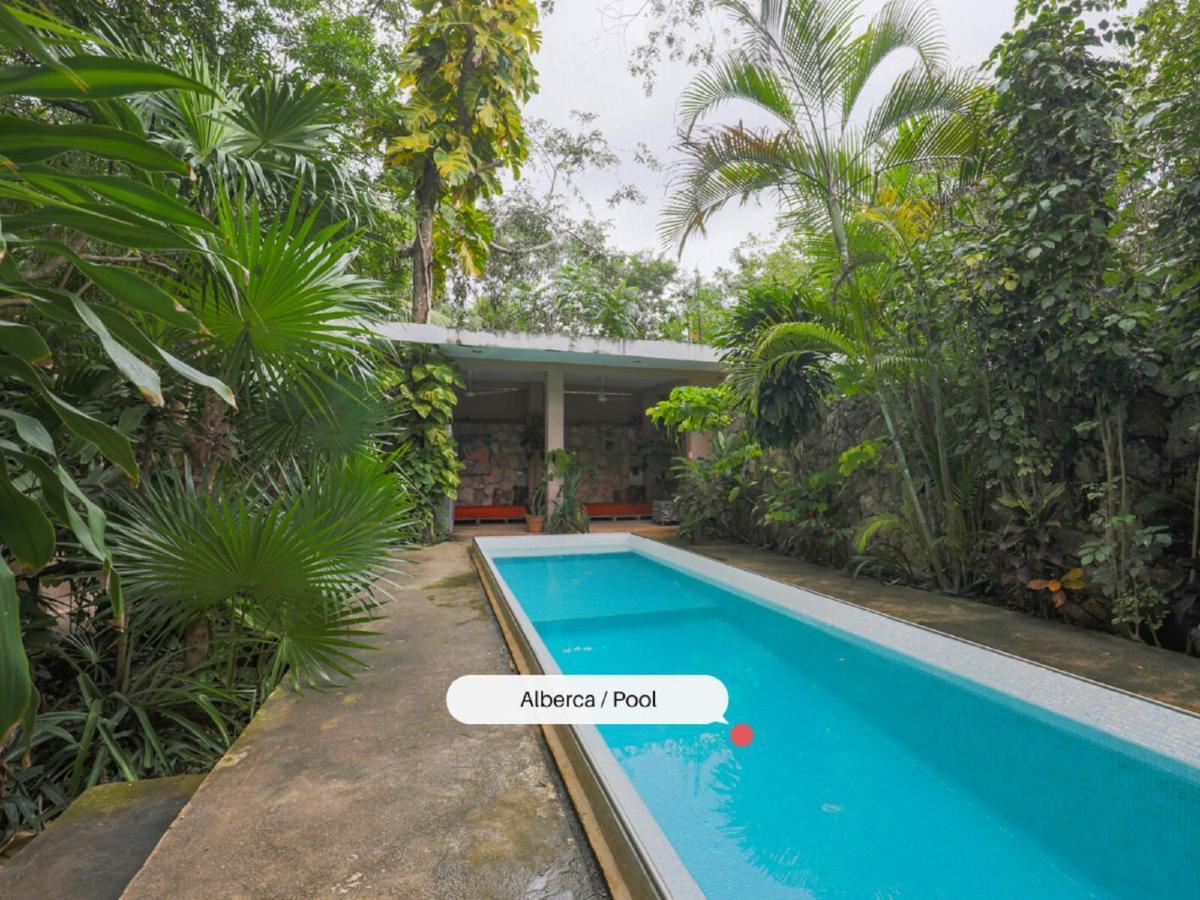 Guest House La Aldea Holistic Experience 坎昆 外观 照片