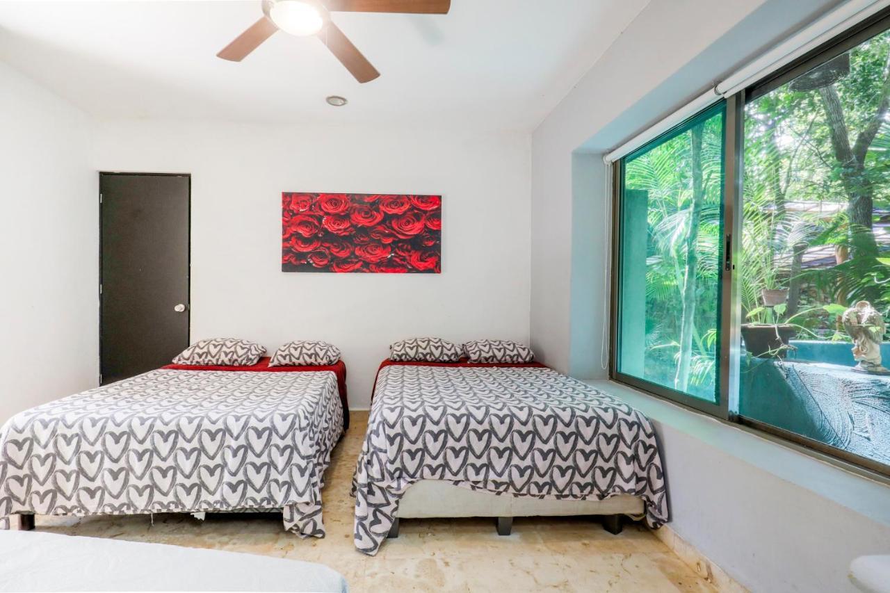 Guest House La Aldea Holistic Experience 坎昆 外观 照片